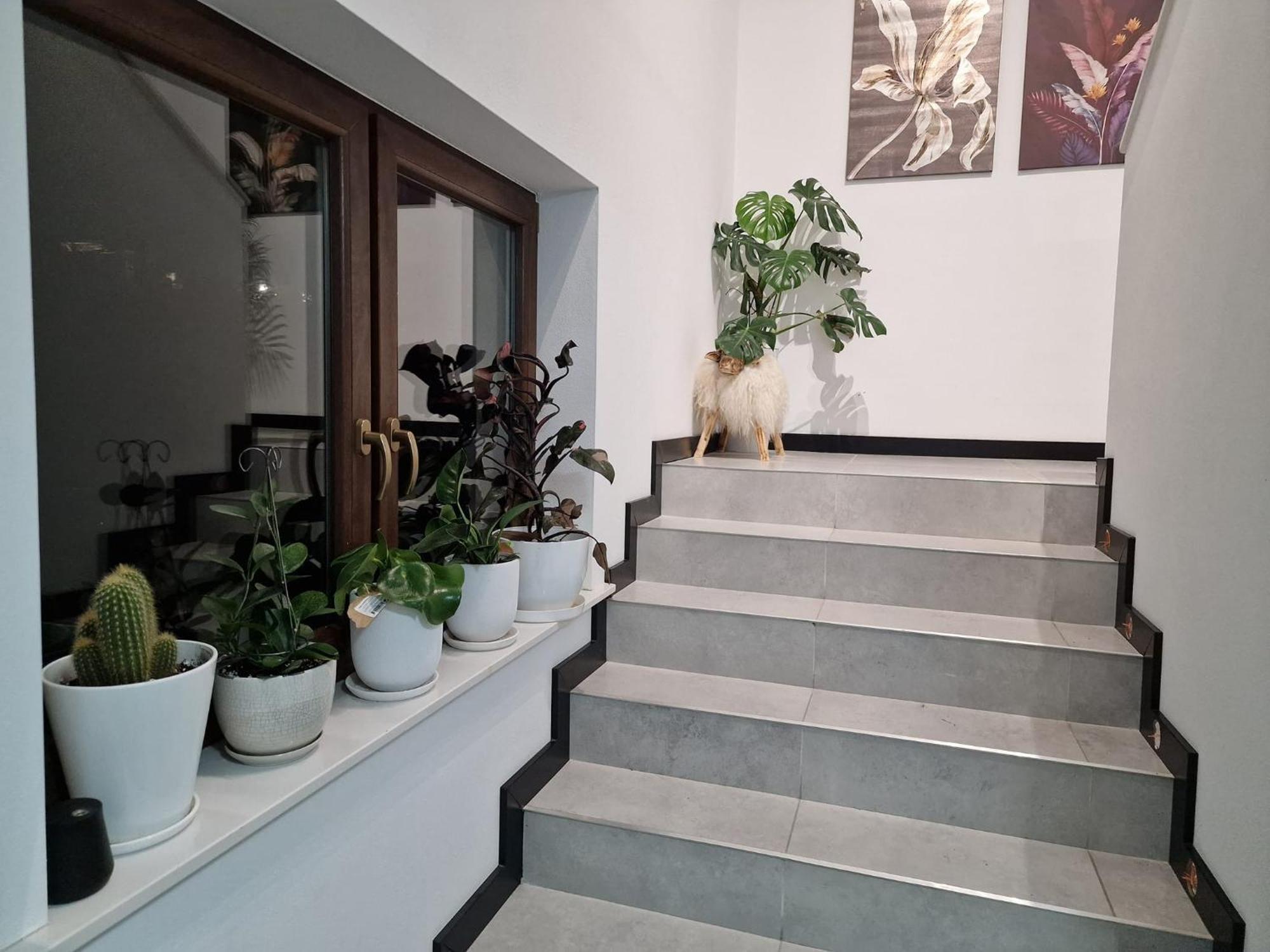 Male Ciche 36J Przy Ostrewkach, Widok Na Gory, Blisko Do Wyciagu Narciarskiego, Idealne Miejsce Na Wypad W Gory -Tarasowka-Zgorzelisko-Rusinowa Polana-Gesia Szyja-Palenica-Wiktorowki-Morskie Oko Murzasichle Eksteriør bilde